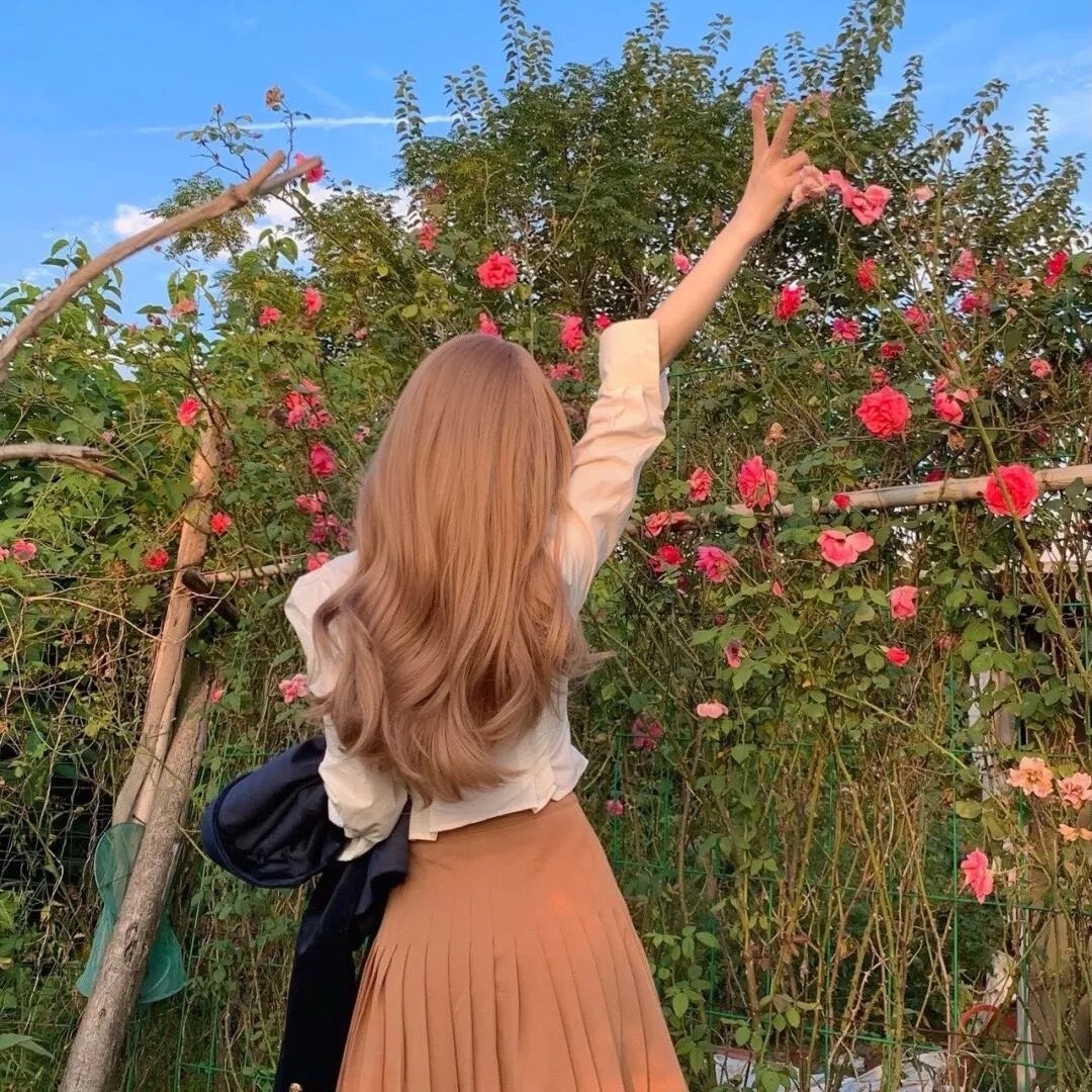 王朝的女人·杨贵妃